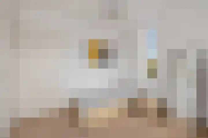 Boswinde 13 Den Haag thumbnail 31