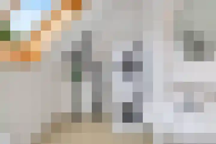 Boswinde 13 Den Haag thumbnail 32