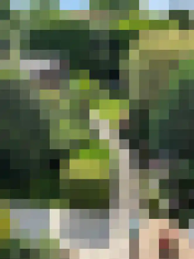 Boswinde 13 Den Haag thumbnail 33