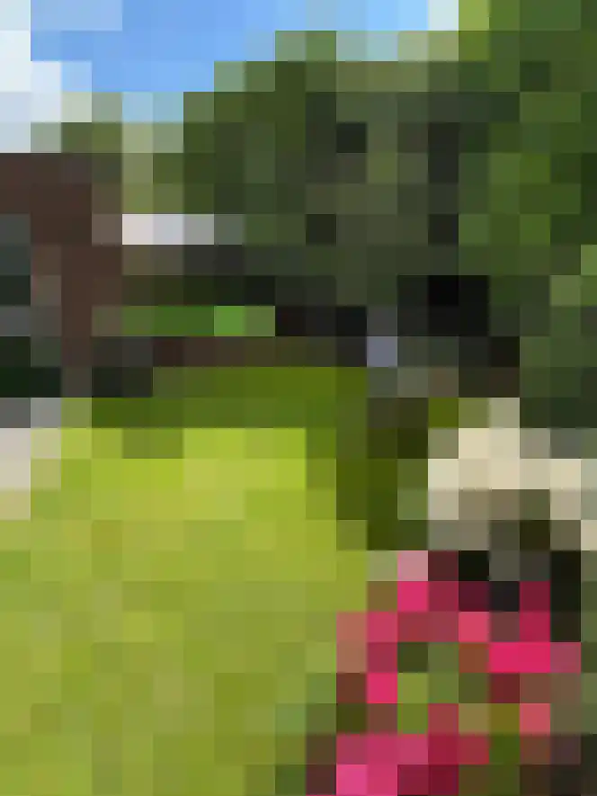 Boswinde 13 Den Haag thumbnail 35