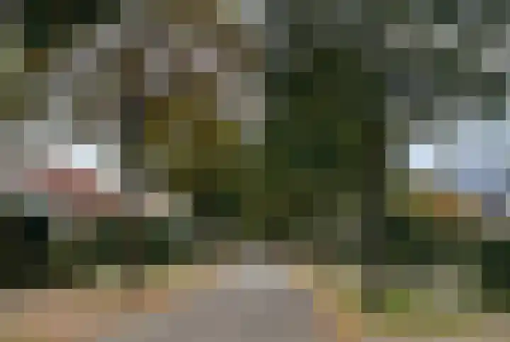 Boswinde 13 Den Haag thumbnail 37