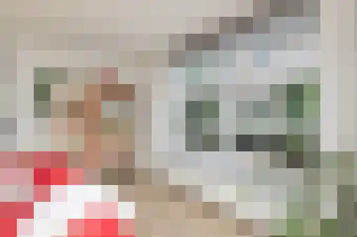 Boswinde 13 Den Haag thumbnail 8