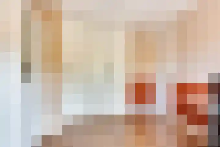 Boswinde 49 Heiloo thumbnail 21