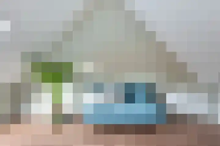 Boswinde 49 Heiloo thumbnail 28