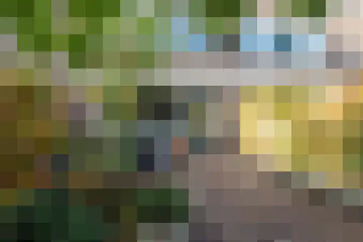 Boswinde 49 Heiloo thumbnail 33