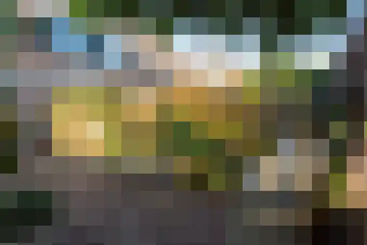 Boswinde 49 Heiloo thumbnail 34