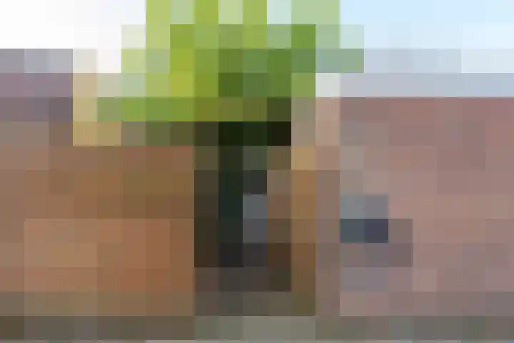 Boswinde 49 Heiloo thumbnail 36