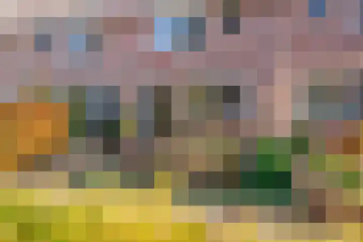 Boswinde 49 Heiloo thumbnail 40