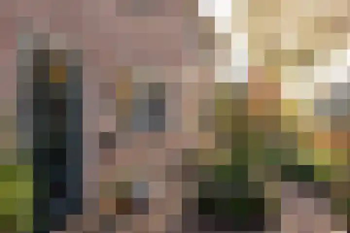 Boswinde 49 Heiloo thumbnail 41