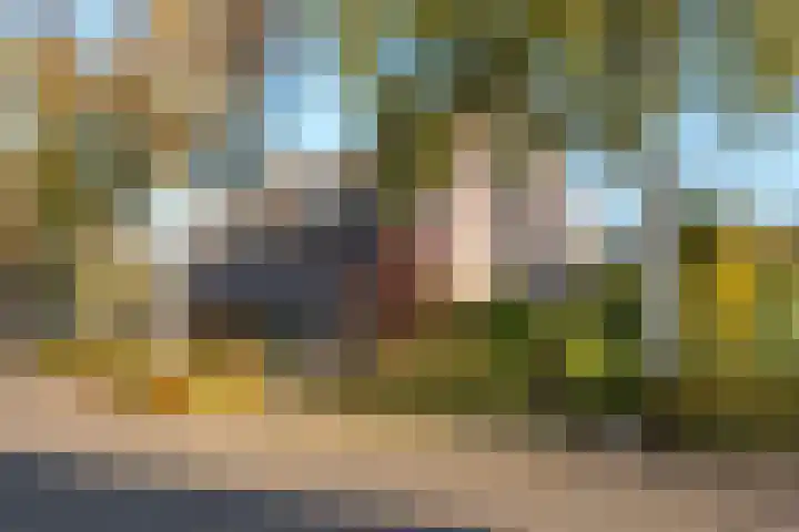 Boswinde 49 Heiloo thumbnail 42