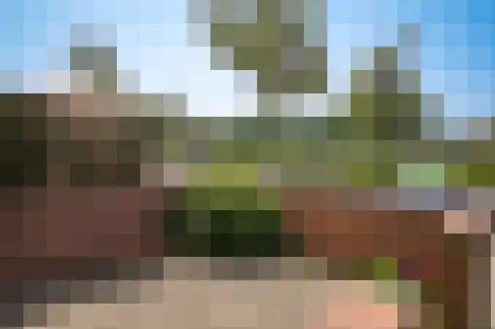 Boswinde 49 Heiloo thumbnail 43