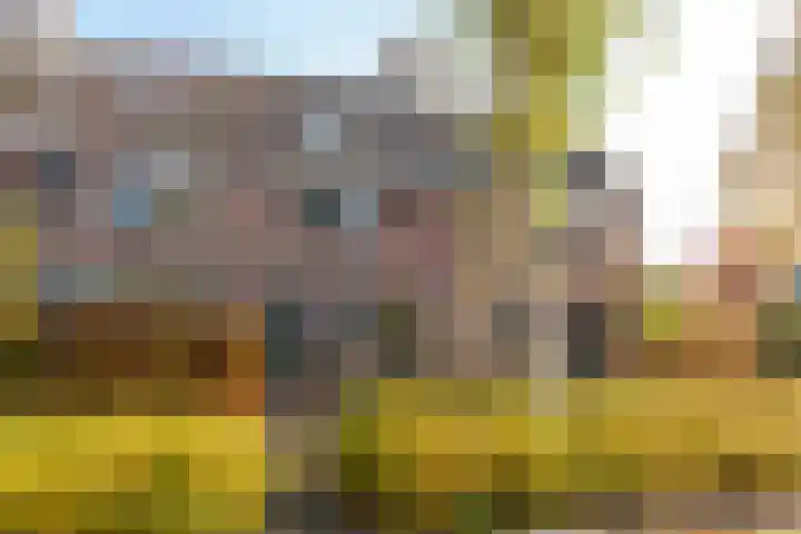 Boswinde 49 Heiloo thumbnail 43