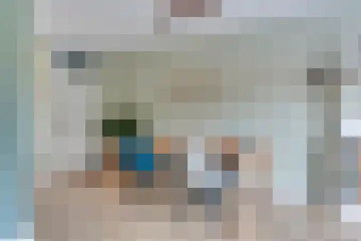Boswinde 49 Heiloo thumbnail 7