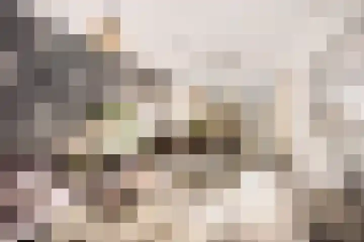 Boszoom 25 Marknesse thumbnail 10