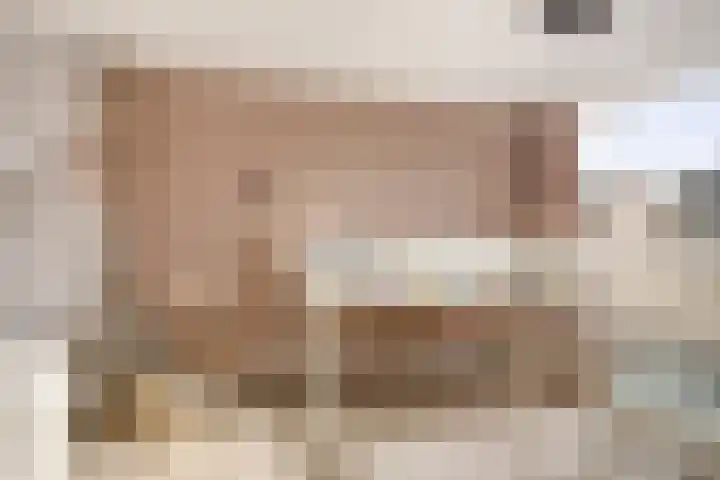 Boszoom 25 Marknesse thumbnail 20