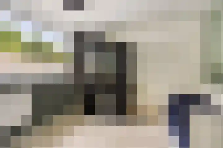 Boszoom 25 Marknesse thumbnail 26