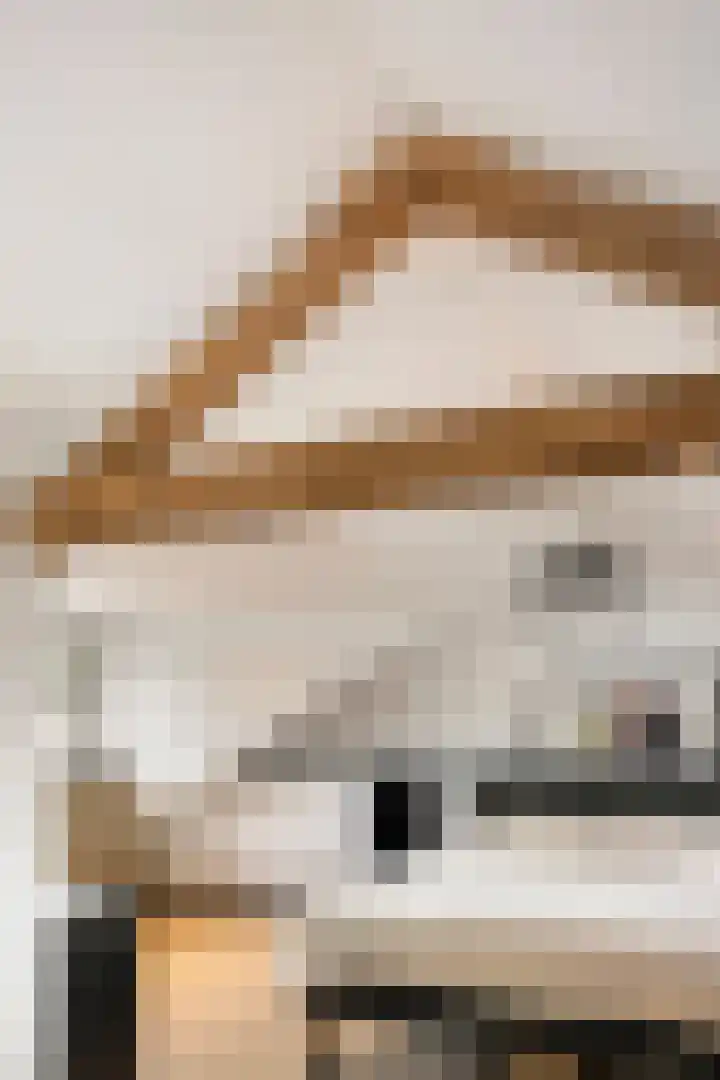 Boszoom 25 Marknesse thumbnail 28