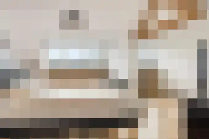 Boszoom 25 Marknesse thumbnail 30