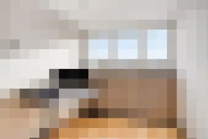 Boszoom 25 Marknesse thumbnail 31