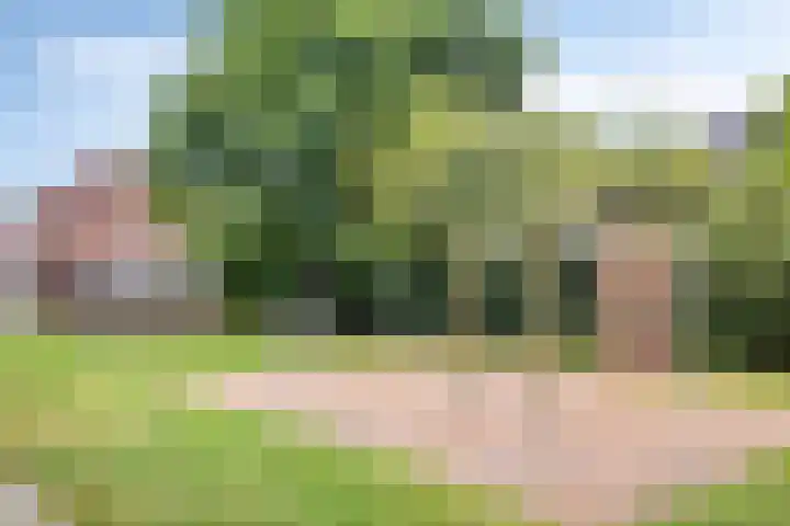 Boszoom 25 Marknesse thumbnail 37