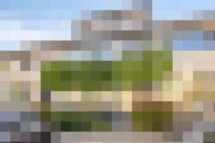 Boszoom 25 Marknesse thumbnail 5