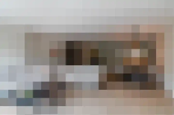 Botdragerstraat 5 Delfgauw thumbnail 10
