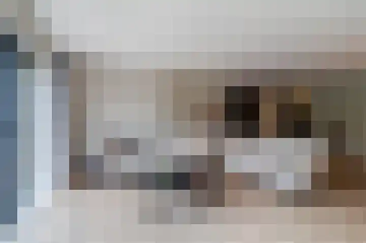 Botdragerstraat 5 Delfgauw thumbnail 11