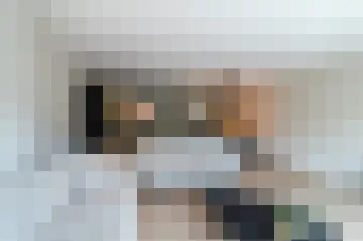 Botdragerstraat 5 Delfgauw thumbnail 13