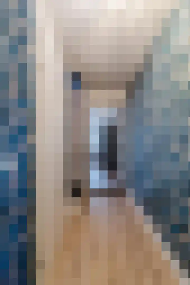 Botdragerstraat 5 Delfgauw thumbnail 21