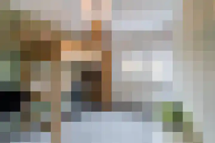 Botdragerstraat 5 Delfgauw thumbnail 27
