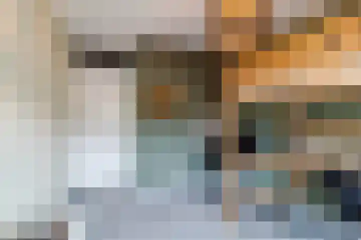 Botdragerstraat 5 Delfgauw thumbnail 28