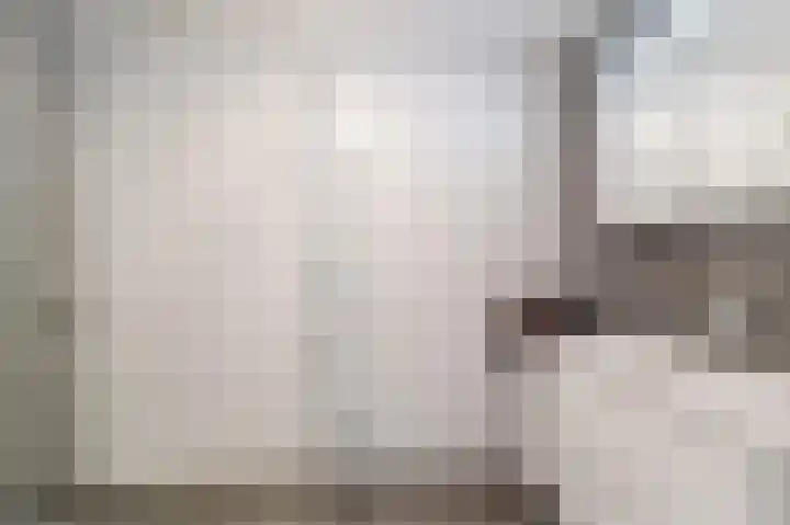Botdragerstraat 5 Delfgauw thumbnail 31