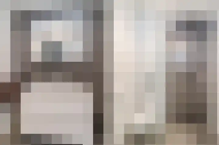 Botdragerstraat 5 Delfgauw thumbnail 34