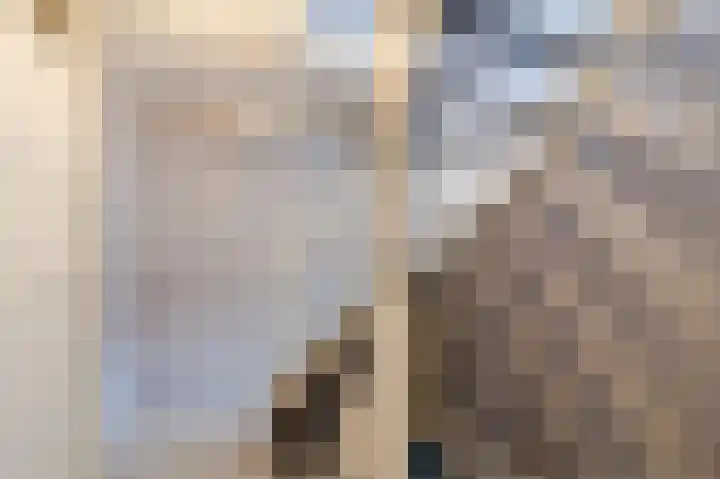 Botdragerstraat 5 Delfgauw thumbnail 35