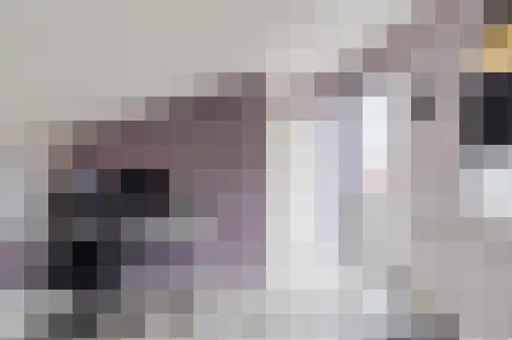 Botdragerstraat 5 Delfgauw thumbnail 37