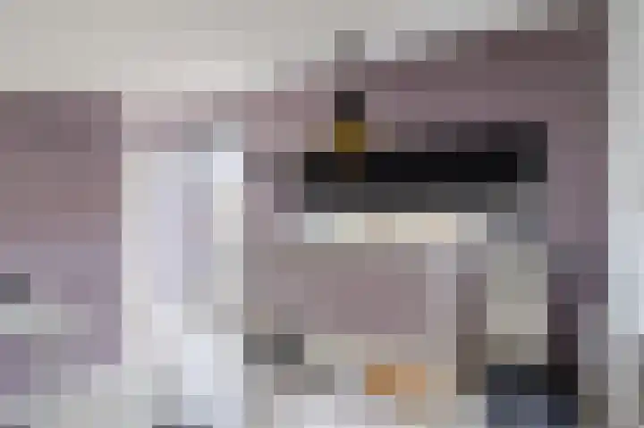 Botdragerstraat 5 Delfgauw thumbnail 38