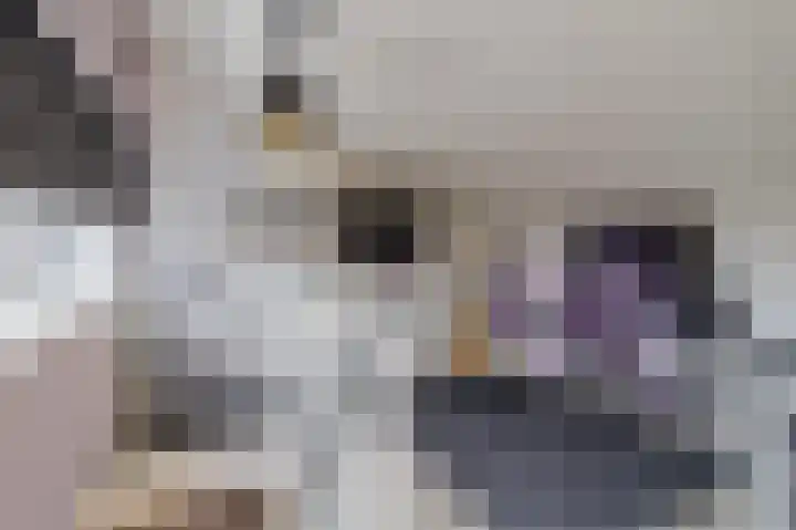 Botdragerstraat 5 Delfgauw thumbnail 39