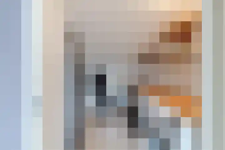 Botdragerstraat 5 Delfgauw thumbnail 40
