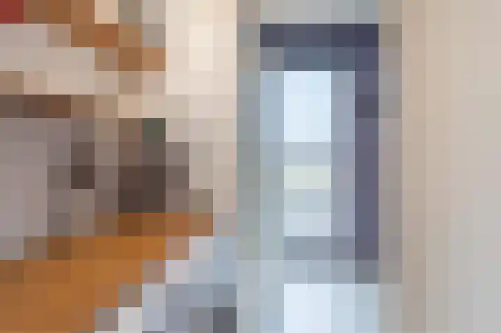 Botdragerstraat 5 Delfgauw thumbnail 41