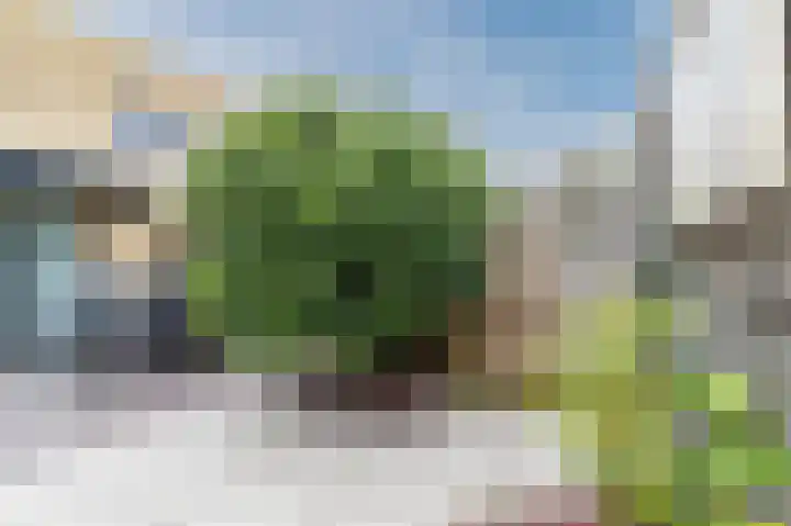 Botdragerstraat 5 Delfgauw thumbnail 48