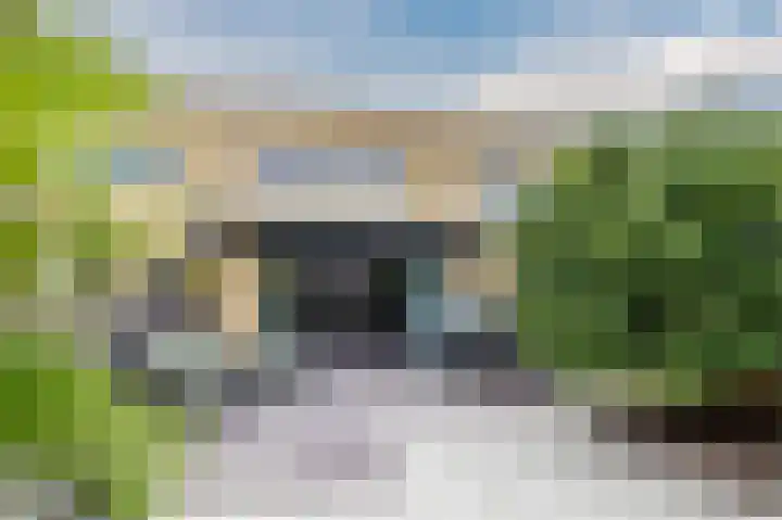 Botdragerstraat 5 Delfgauw thumbnail 49