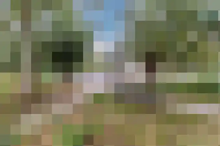 Botdragerstraat 5 Delfgauw thumbnail 51