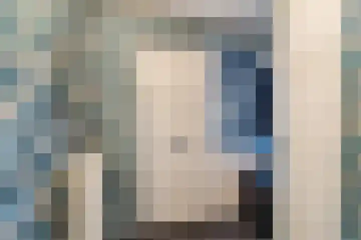 Botdragerstraat 5 Delfgauw thumbnail 6