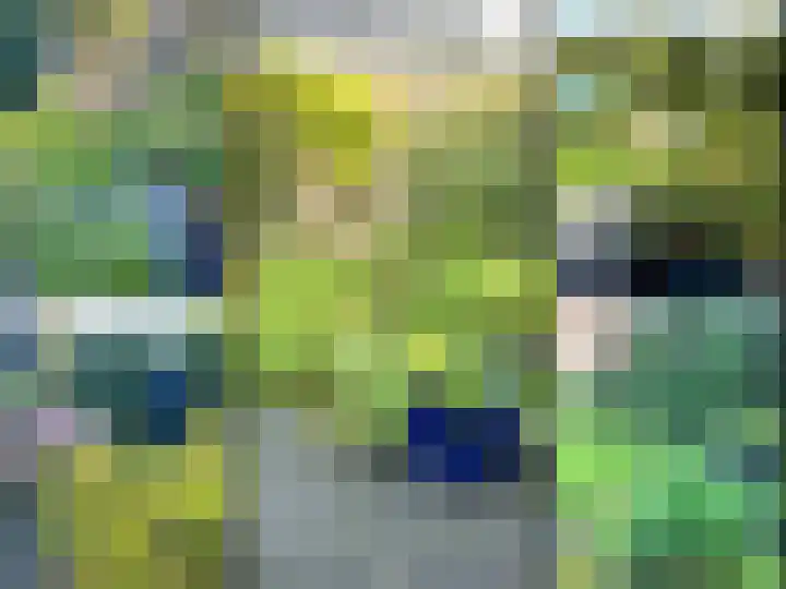 Boteinstraat 5 a Zuidhorn thumbnail 18