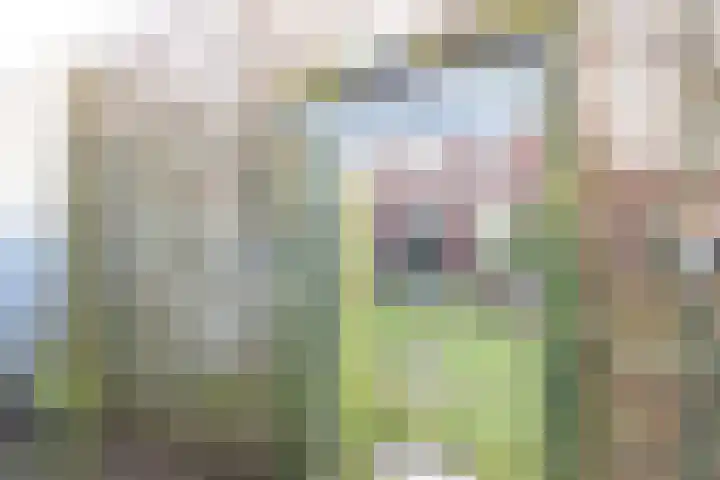 Boteinstraat 5 a Zuidhorn thumbnail 22