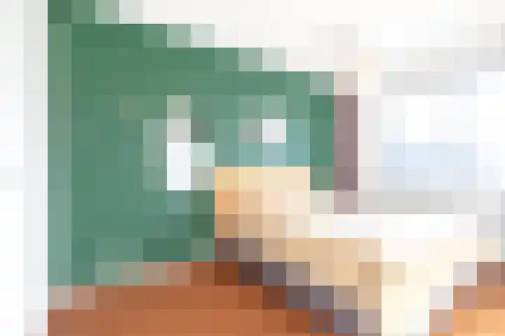 Boteinstraat 5 a Zuidhorn thumbnail 31
