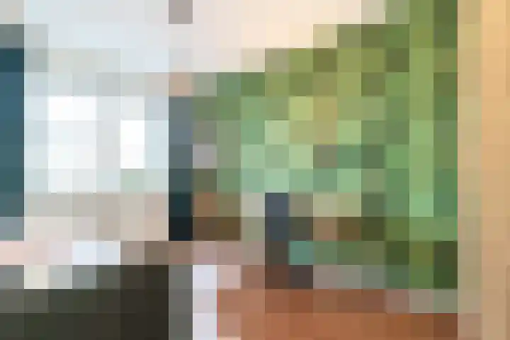 Boteinstraat 5 a Zuidhorn thumbnail 33