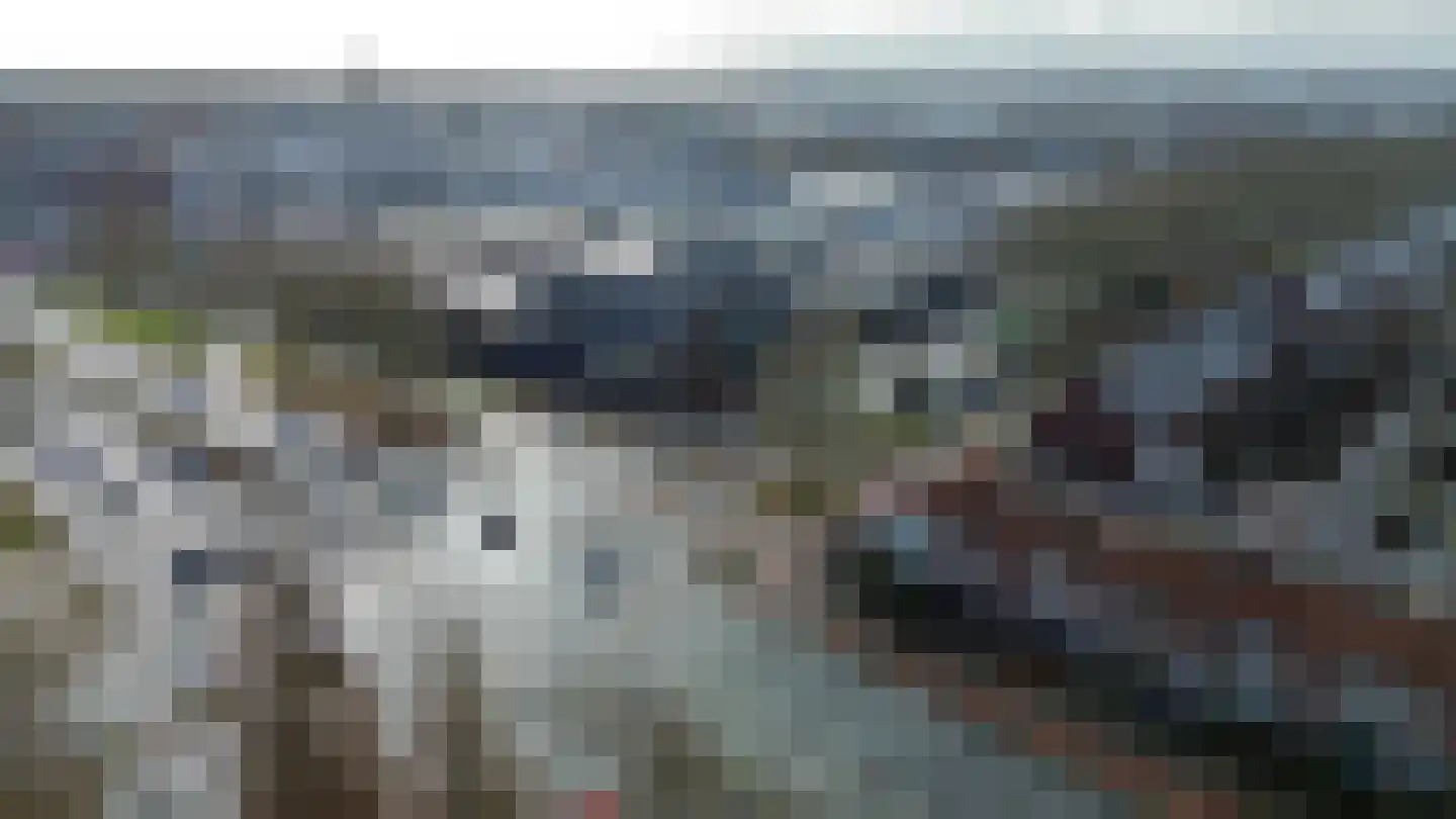 Botenlaan 76 Eindhoven thumbnail 55