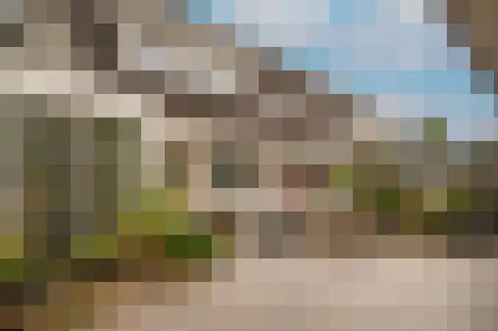 Boterbloem 1 Culemborg thumbnail 38