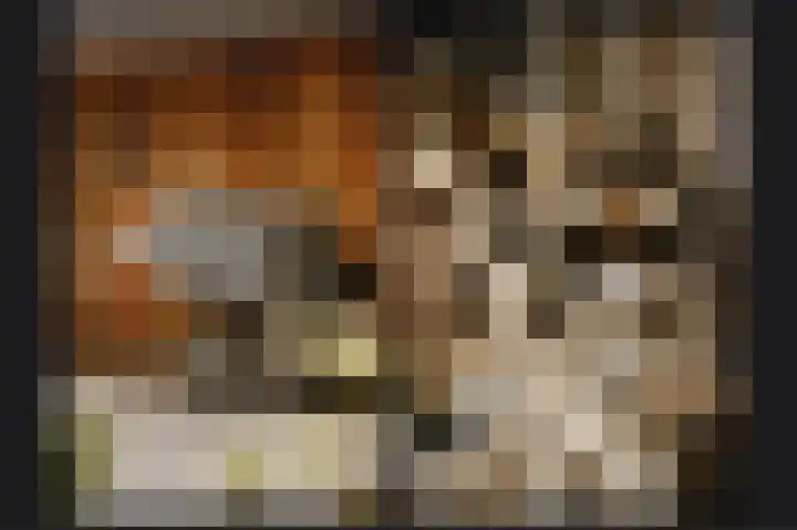 Boterbloem 1 Culemborg thumbnail 40